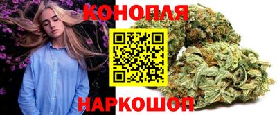 mdpv Краснознаменск